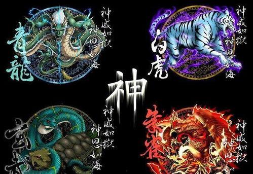 玄武四象大结局爆料视频,神秘终章揭秘，命运交织的巅峰对决  第3张